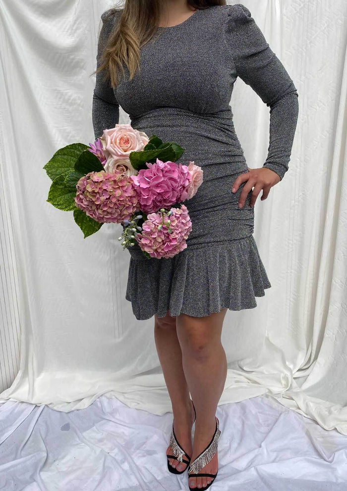 Regina Sparkle Knit Mini Dress Silver
